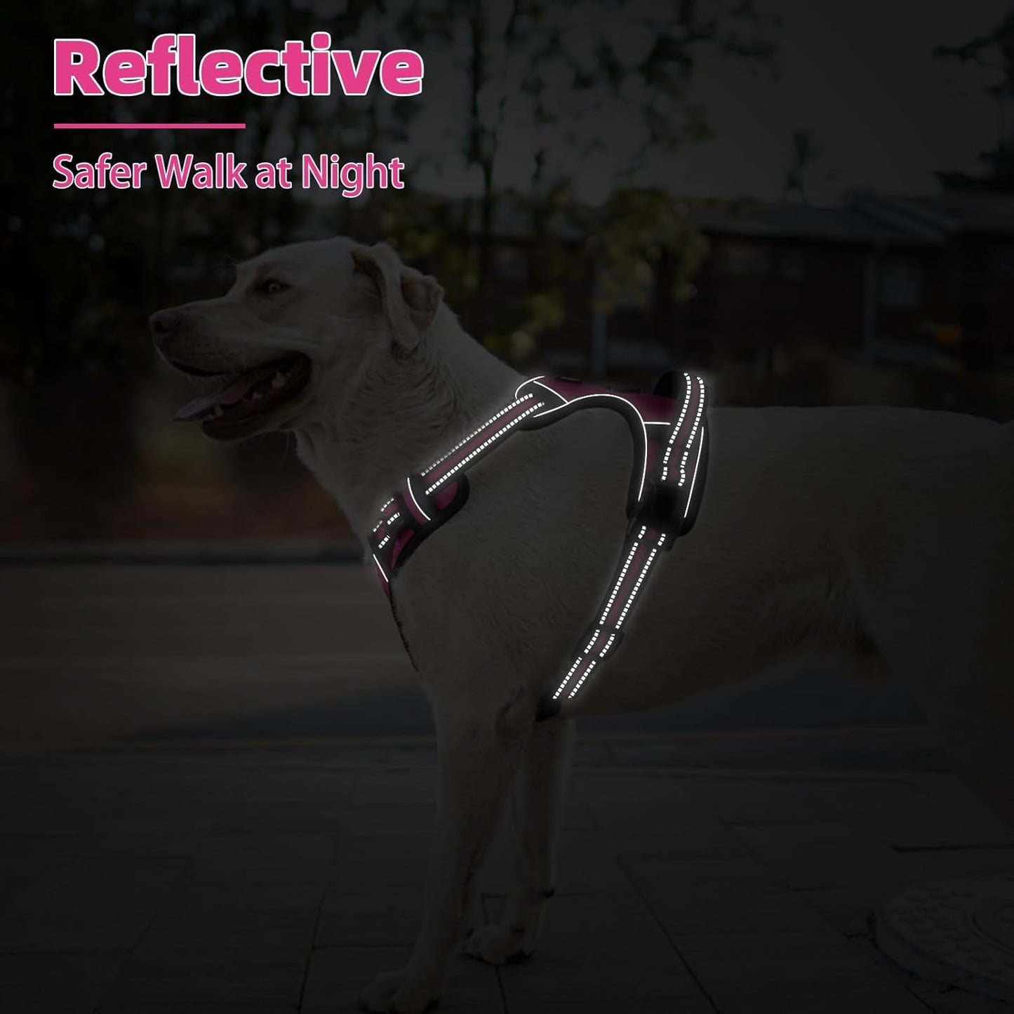 PUPTECK No Pull Dog Harness for Large, Adjustable Reflective Dog Harness with Handle Easy Control, Comfortable Soft Padded Pet Vest Harness for Large Dogs, Fuschia L