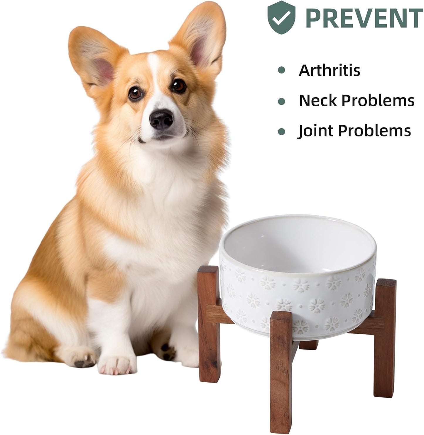 Ceramic 6.1inch Raised Dog and Cat Bowl Set, 2 Heights Elevated with Acacia Wood Stand, Food and Water Bowl for Small Breed Dogs, Weighted Dog Dishes(27oz, Arctic White)