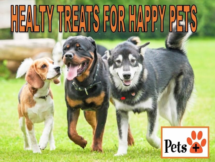 Pets Plus Premium Dog Treats ā Lamb Lung Wafers, 8 oz | All-Natural, High-Protein, Grain-Free Dog Treats, Healthy Training Rewards & Crunchy Chews