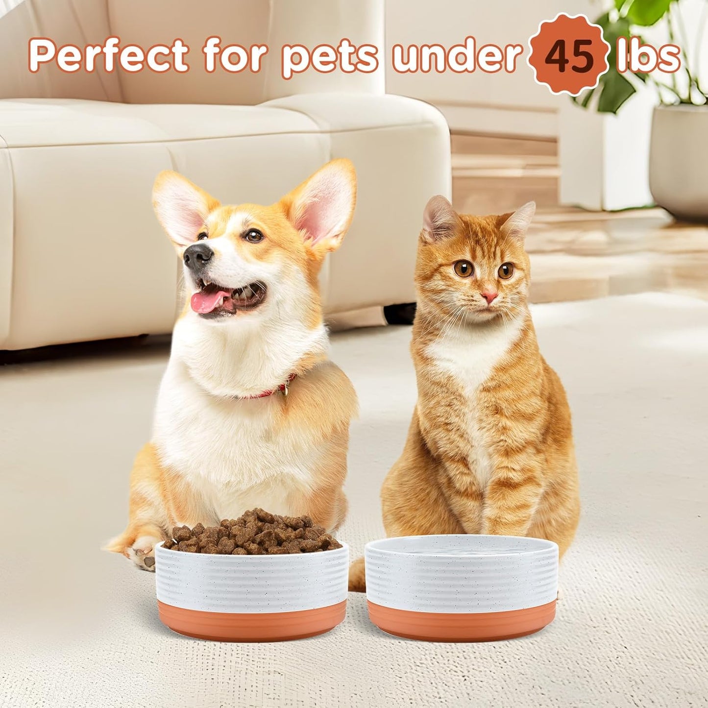 SPUNKYJUNKY Ceramic Dog and Cat Bowls 2 Pack, 6.1'' Dog and Cat Food Water Double Feeding Bowls Non-Slip for Cats and Medium Sized Breed Dogs Microwave Dishwasher Safe - 28.7 OZ, 2pcs, Pattern White