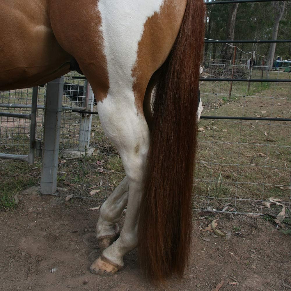 Horse Tail Extensions with Braided Horsehair Loop, Blunt Cut Bottom, 34-36 inches Long and 1 lb Weight (Med Sorrel)