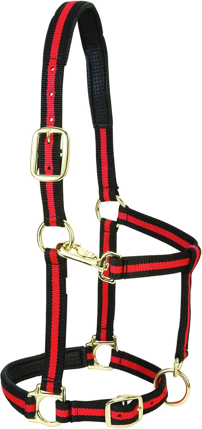 Weaver Equine Nylon Horse Halter, Triple-Ply Cheek Design, Original Non Adjustable Halters for Horses, Equine Tack,Average Size, Black