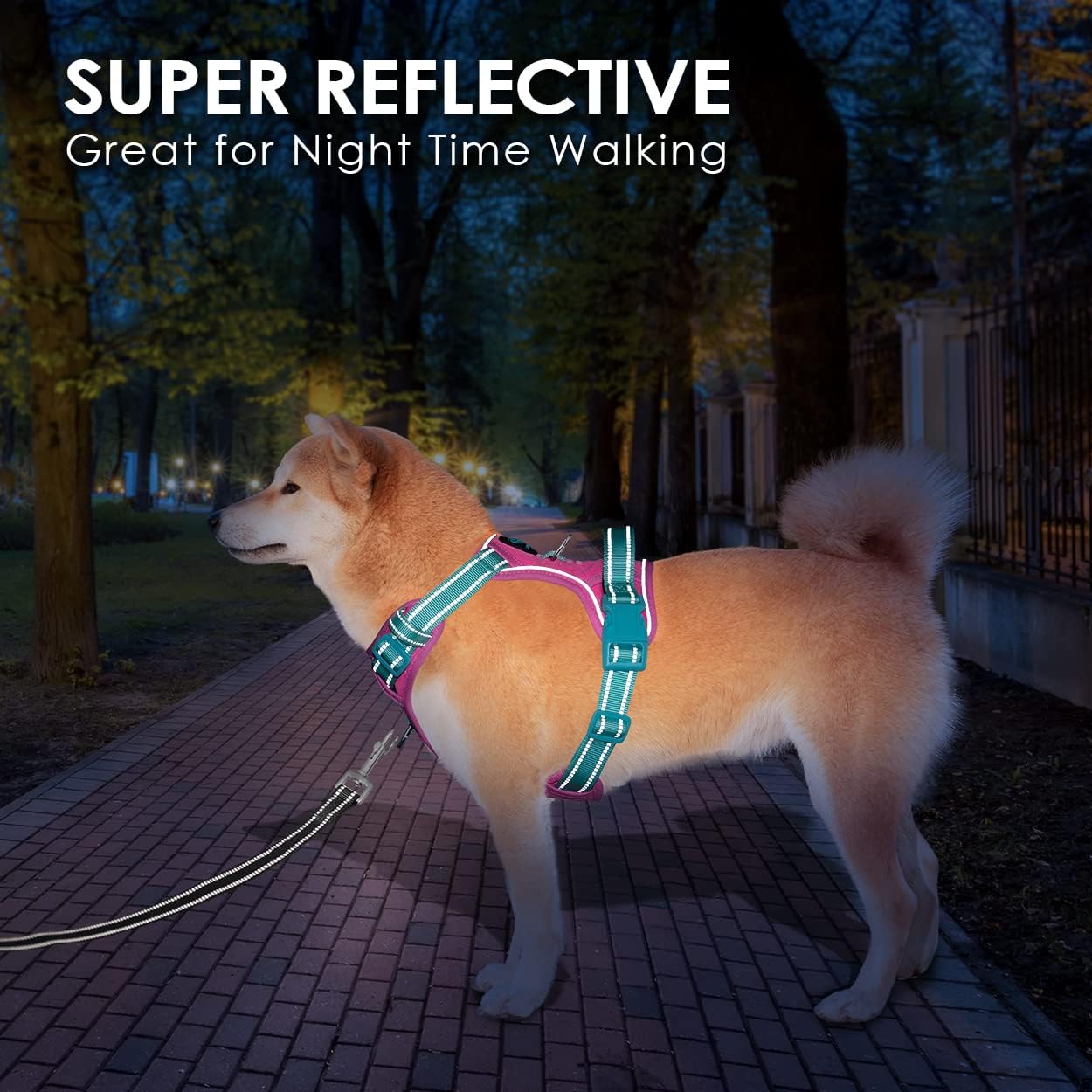 PHOEPET No Pull Dog Harness, Unique Colors Reflective Adjustable Dog Vest, with Soft Training Handle Metal Clips for Small Medium Large Dogs (Pink Base & Green Straps,XS)