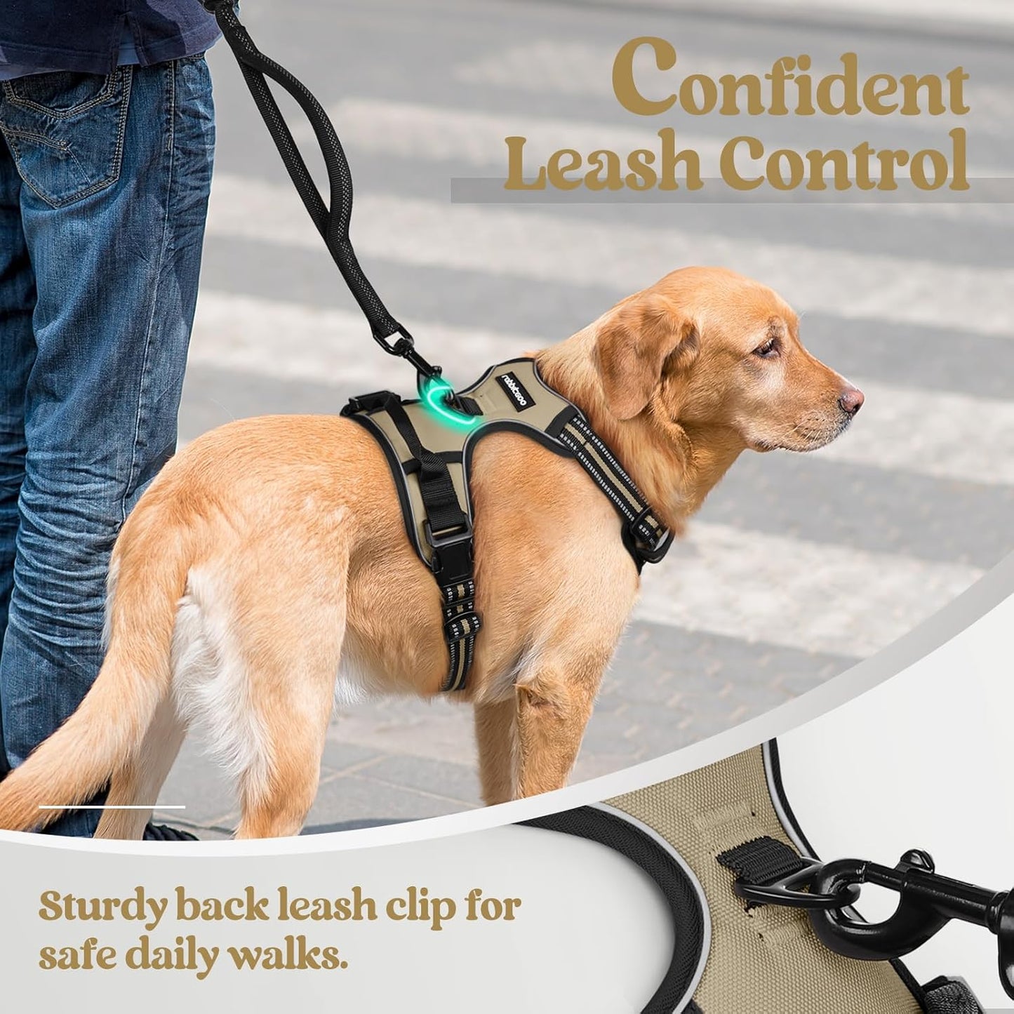rabbitgoo Dog Harness No Pull with 2 Leash Clips, Adjustable Soft Padded, Reflective Oxford No Choke Pet Vest with Easy Control Handle for Medium Sized Dogs, Beige, M