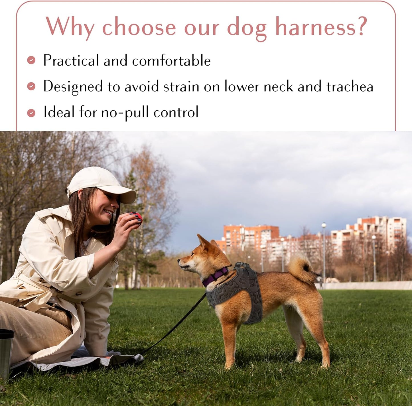 Comfort fit Step-in Dog & Puppy Harness - Comfortable All Weather Dog Vest Harness: Adjustable, Soft Padded, Easy to Put-on for Small, Medium-Sized Dogs.