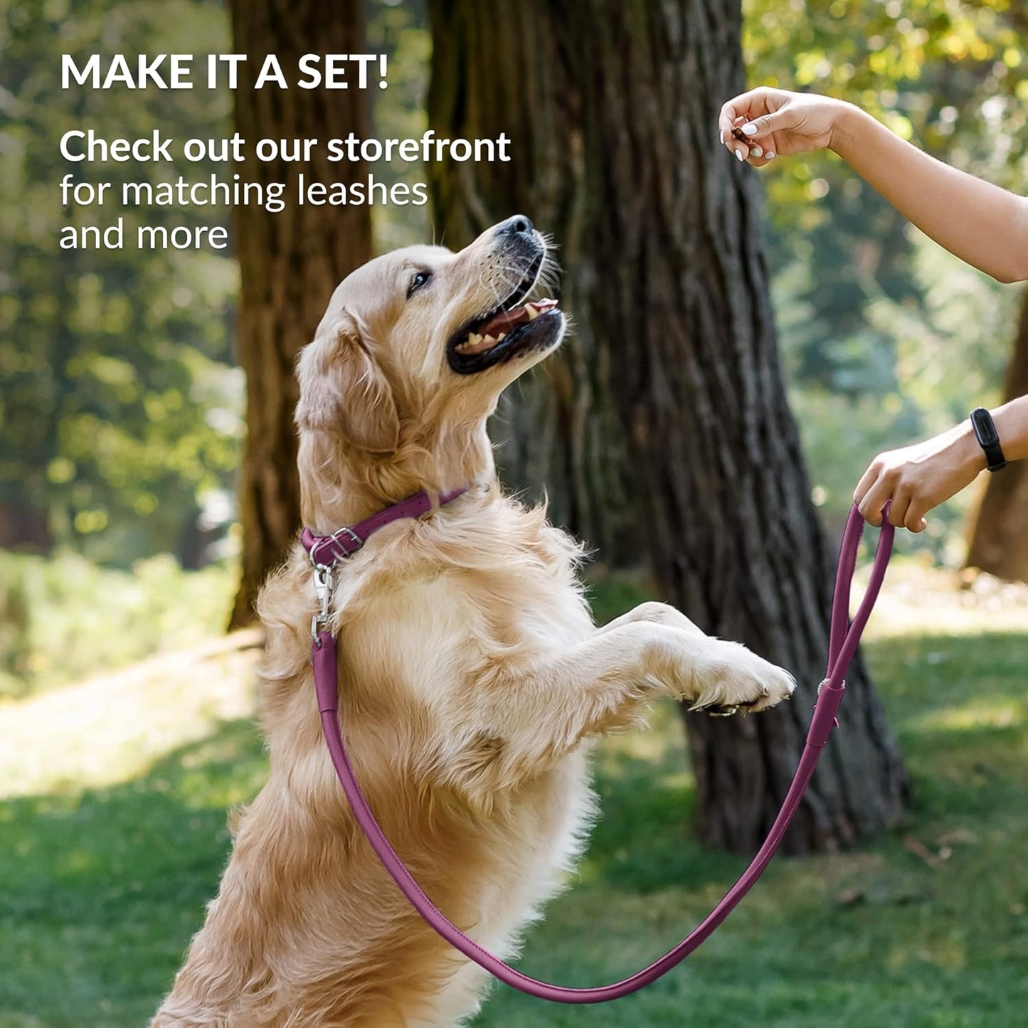 CollarDirect Rolled Leather Dog Collar, Soft Padded Round Puppy Collar, Handmade Genuine Leather Collar Dog Small Large Cat Collars 13 Colors (6 Inch, Pink Smooth)