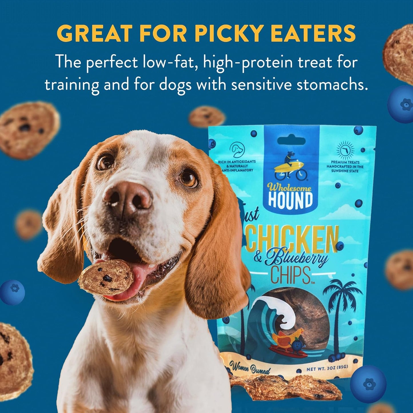 Chicken & Blueberry Chips – 2 Simple Ingredient Dog Treats, All Natural & Healthy Training Snacks for Small, Medium & Large Breeds, Puppies – High Protein, Made in USA 3oz