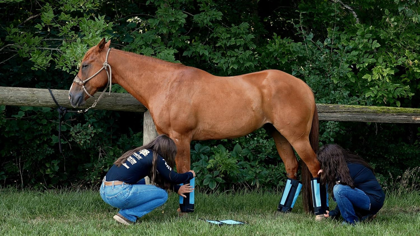 Warrior Fly Boots for Horses - Breathable Mesh Horse Boots for Fly Protection & Leg Comfort - Set of 4 (The Warrior, Neon Pink)