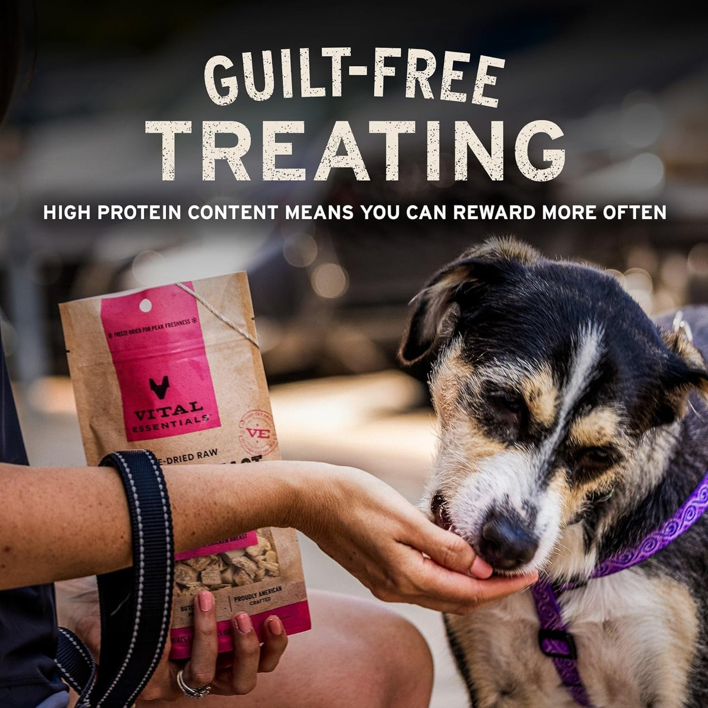 Vital Essentials Duck Hearts Dog Treats, 10 oz | Freeze-Dried Raw | Single Ingredient | Premium Quality High Protein Training Treats | Grain Free, Gluten Free, Filler Free