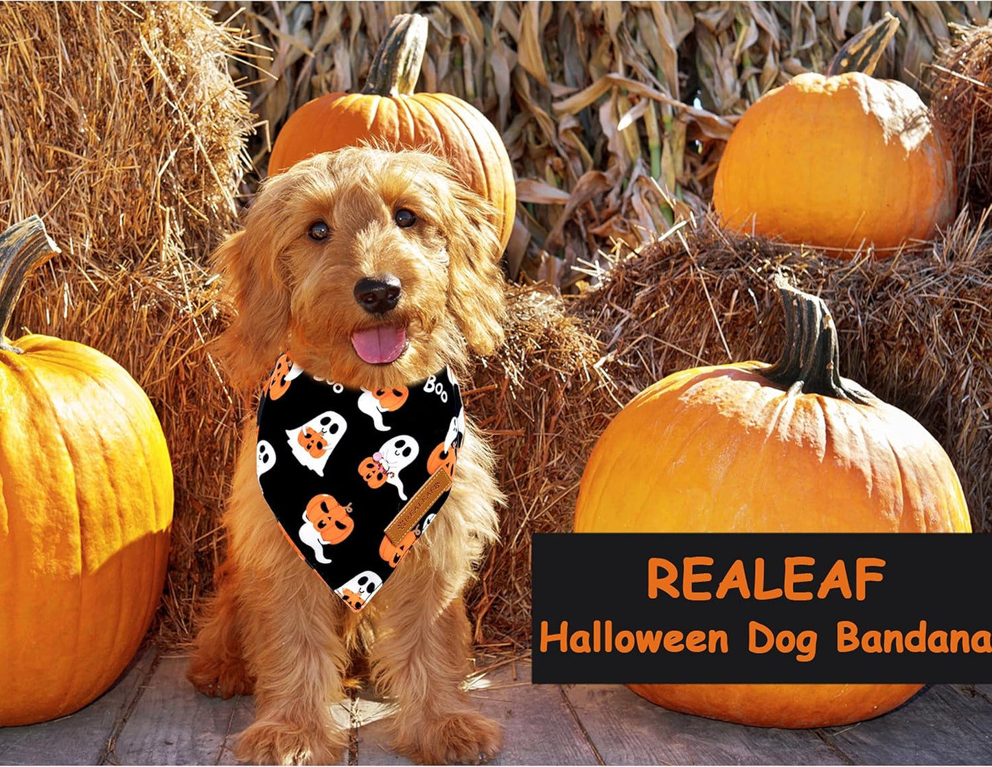 Realeaf Halloween Dog Bandanas 2 Pack, Reversible Orange Pumpkin Pet Scarf for Boy and Girl, Premium Durable Fabric, Holiday Bandana for Small Medium Large and Extra Large Dogs (Small)