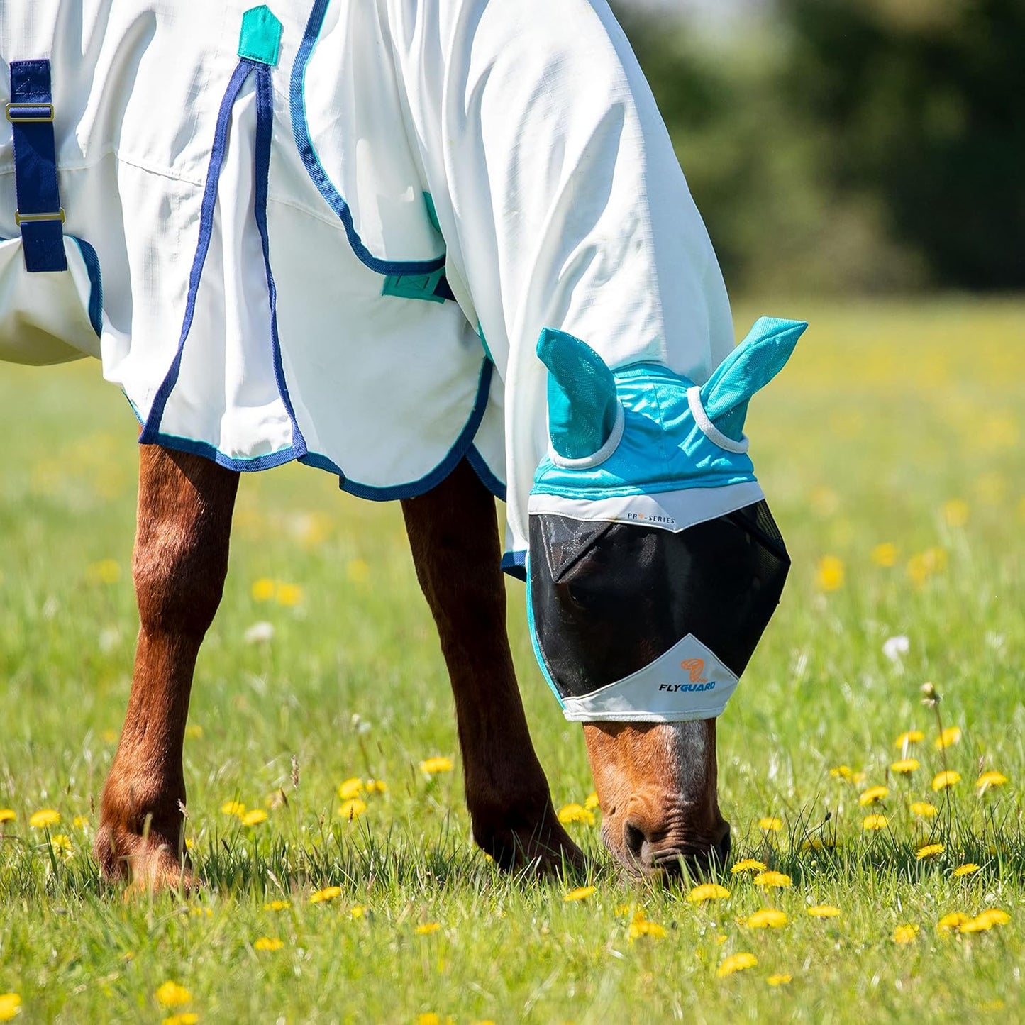 Shires Fine Mesh Horse Equine Fly Mask with Ears 60% UV Protection (Small Pony, Teal)
