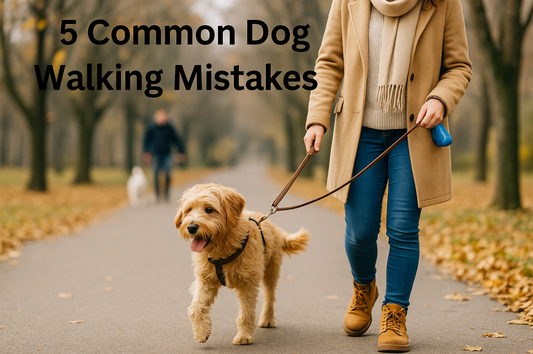5 Common Mistakes New Dog Owners Make During Walks — And How to Fix Them