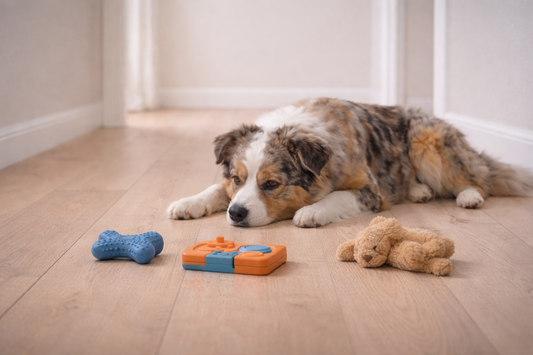 Choosing the Right Mix of Dog Toys