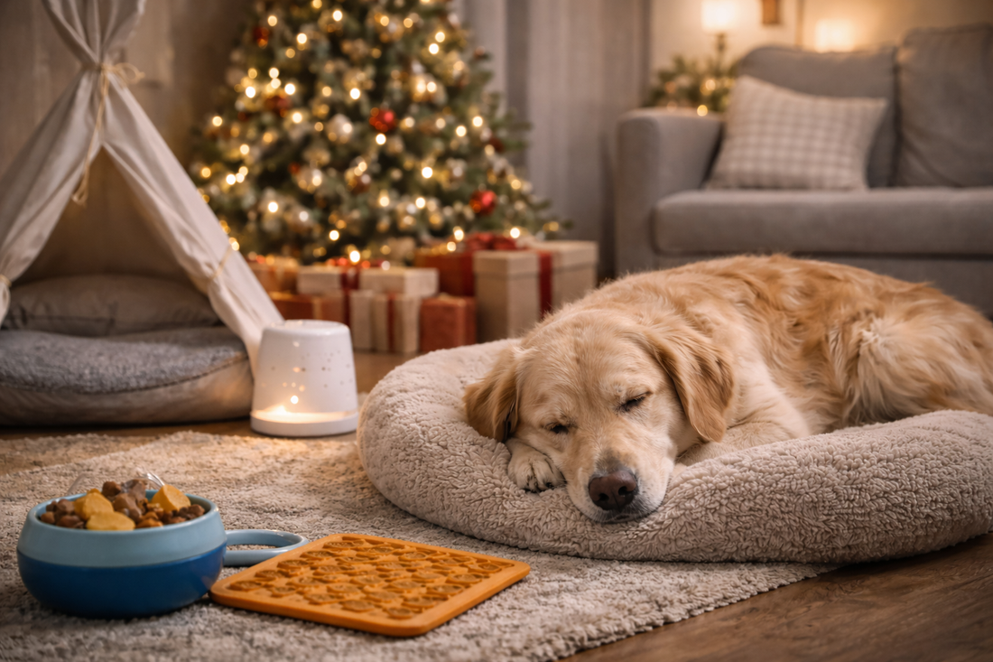 Creating a Peaceful Holiday Environment for Pets