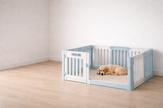 calm dog lying inside a minimal plastic playpen in a clean empty space showing behavioral stability through structured environment
