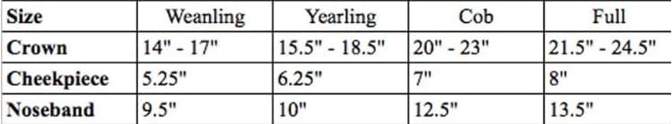 Triple Stitch Leather Horse Halter, Adjustable Design, Fancy Stitching, Solid Brass Hardware