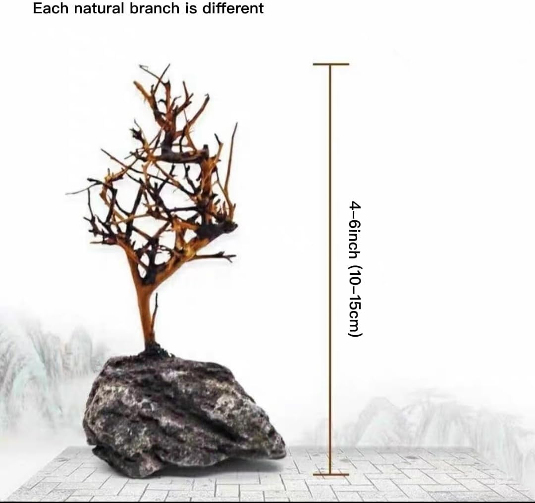 2pcs Small Bonsai Aquarium Tree,4-6inch,Handmade Aquarium Bonsai Tree Aquarium Decor Tree