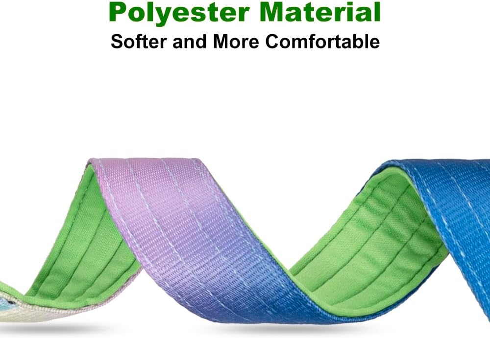 TSPRO Premium Dog Collars Tactical Dog Collar with Handle and Heavy Duty Quick-Release Metal Buckle Durable Thick and Adjustable for Medium to Large Dogs (Gradient Rainbow L)