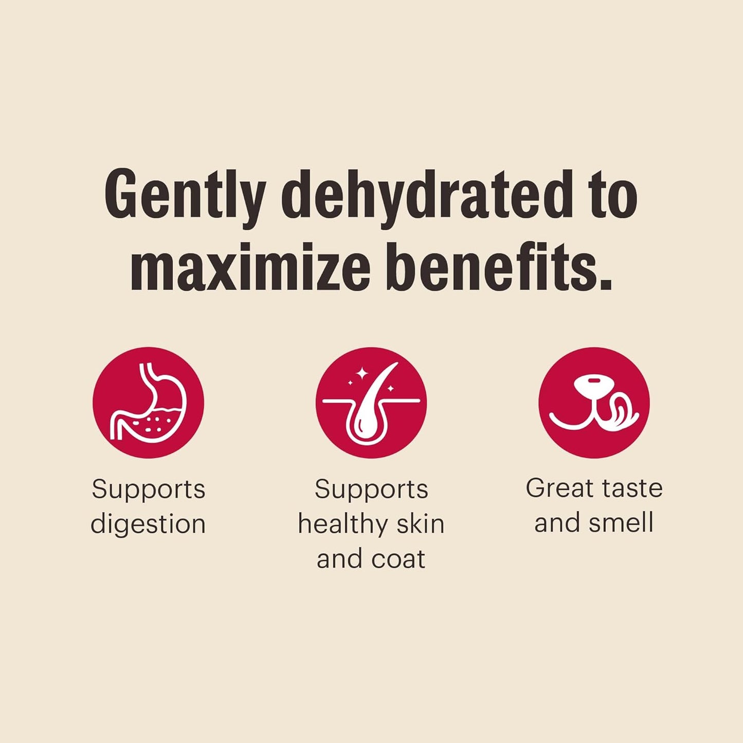 The Honest Kitchen Wholemade™ Grain Free Beef Dog Food, 4 lb Box