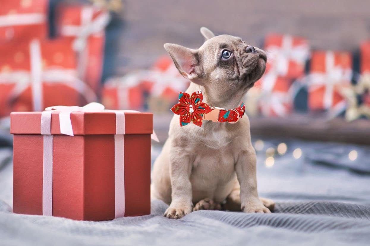 Lionet Paws Christmas Dog Collar with Flower, Dog Flower Collar with Metal Buckle for Dogs, Adjustable Comfortable Dog Collar Girl Gift, L, Neck 16-24 in