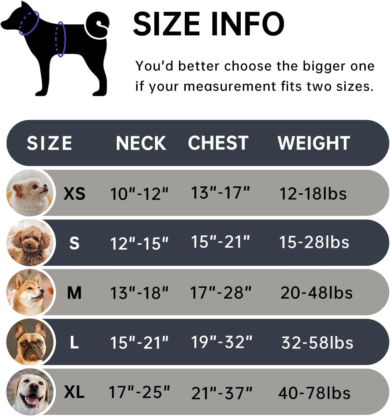 IVY&LANE No Pull Dog Harness with Leash Set, Reflective No Choke Pet Vest,Adjustable Oxford Dog Vest Harness with Easy Control Handle for Medium Lagre Dogs (Checkered Black,M)