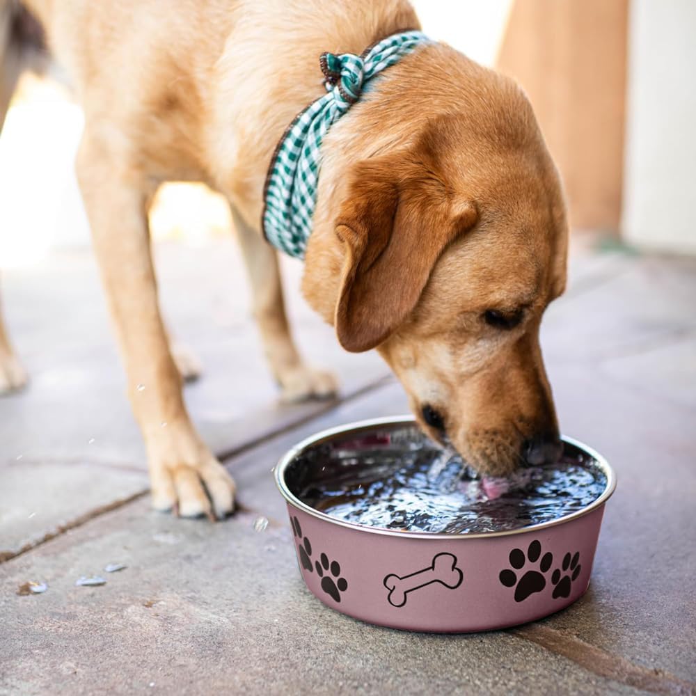 Loving Pets Bella Dog Bowls- Stainless Steel Dog & Cat Bowls - Spill Proof Dog Food Bowl, Cat Bowl, Puppy Essentials & Pet Supplies Great for Home & Travel (Small 10-20 lbs, Grape)