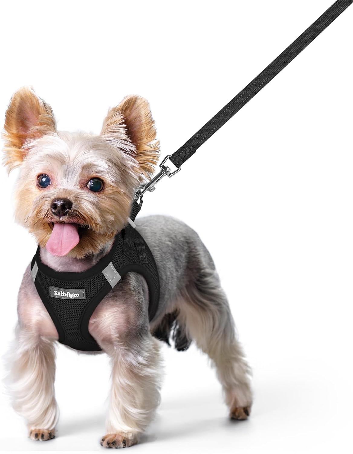 rabbitgoo Dog Harness Small Sized and Leash Set, Step in Soft Light Puppy Vest, Breathable Mesh Pet Harness, Reflective for Safe Easy Walking, Black XS