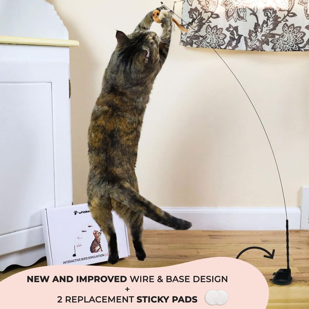 Interactive Bird Simulation Cat Toy Set, Interactive Cat Toys for Indoor Cats, Cat Feather Toy, Self-Holding Suction Base, 5 Replacement Birds, Feathers & Bells, Realistic Bird Impression
