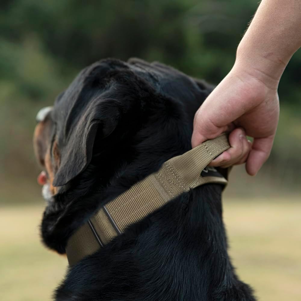 TSPRO Premium Dog Collars Tactical Dog Collar with Handle and Heavy Duty Quick-Release Metal Buckle Durable Thick and Adjustable for Medium to Large Dogs (Cyan Gradient L)