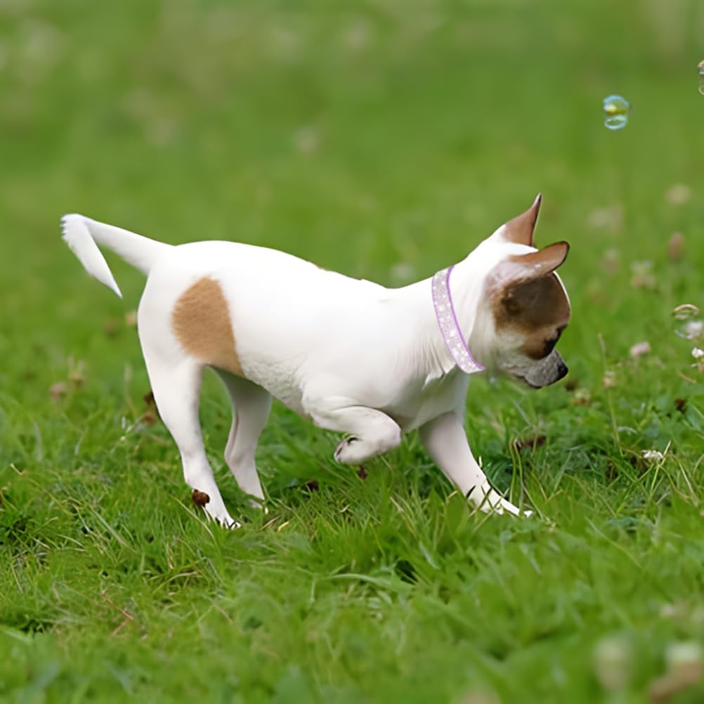Rhinestone Dog Collar for Small Dogs, Bling Diamond Fancy Crystal Glitter Pretty Jewel Pet Puppy Collars for XXS XS Small Medium Large Breed Girl Dogs Female Cats Kitten, Hot Pink S