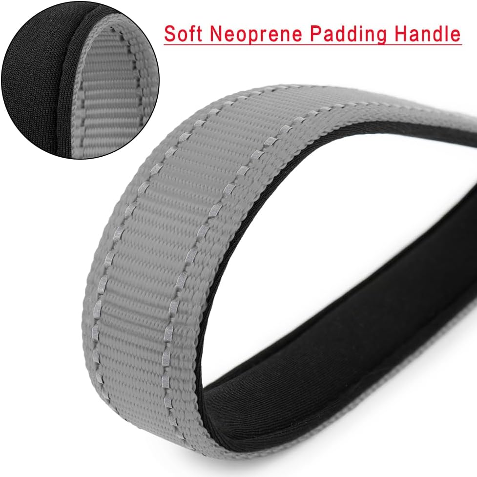 PLUTUS PET Short Dog Leash, Reflective Nylon Padded Handle, Strong Traffic Leash with Carabiner Clip, Perfect for Large or Medium Dogs (10”，Gray)