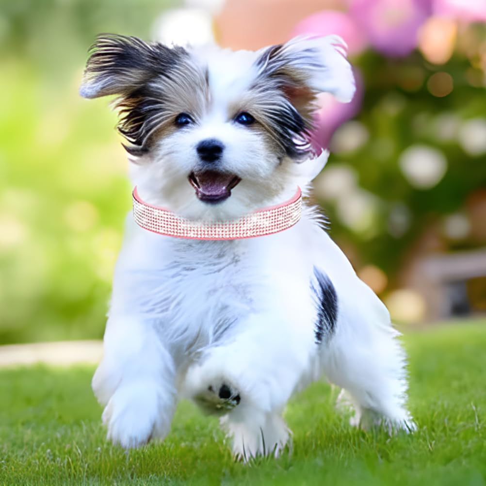 Rhinestone Dog Collar for Small Dogs, Bling Diamond Fancy Crystal Glitter Pretty Jewel Pet Puppy Collars for XXS XS Small Medium Large Breed Girl Dogs Female Cats Kitten, Colorful Pink XSmall