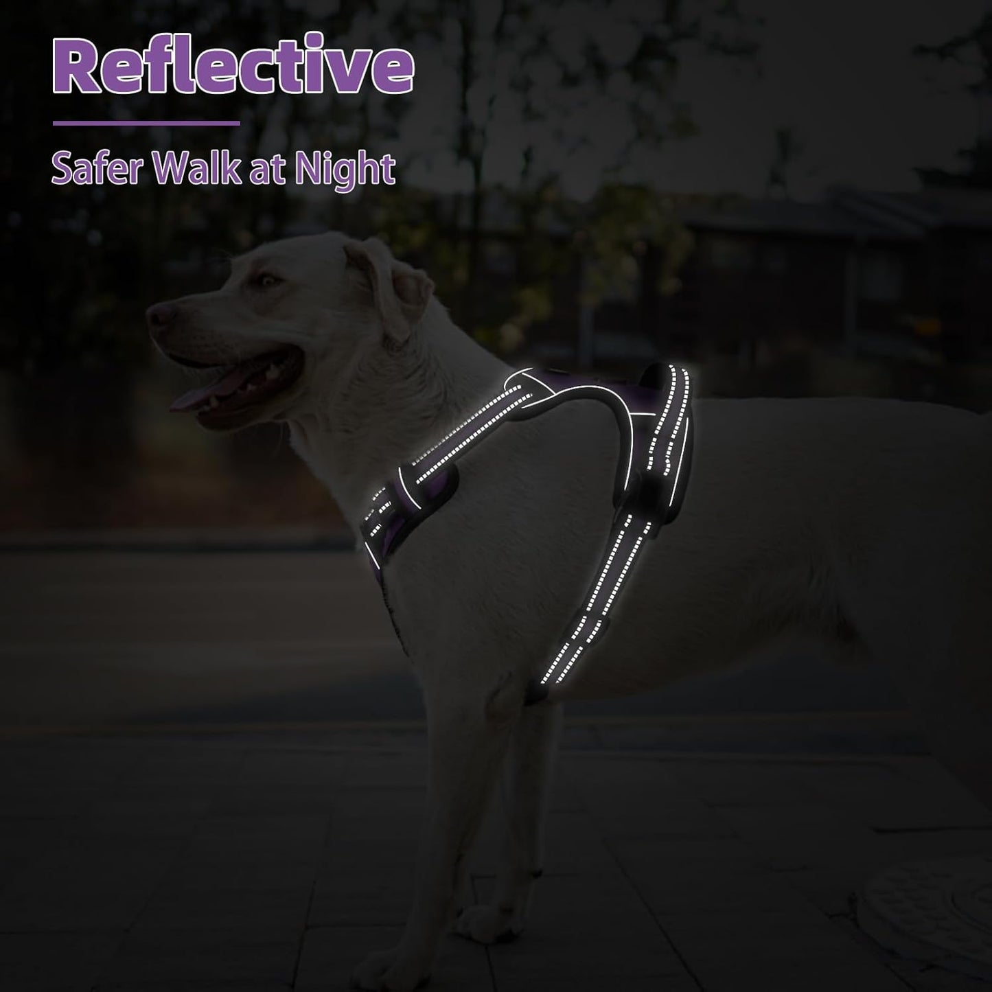 PUPTECK No Pull Dog Harness for Large, Adjustable Reflective Dog Harness with Handle Easy Control, Comfortable Soft Padded Pet Vest Harness for Large Dogs, Solid Purple L
