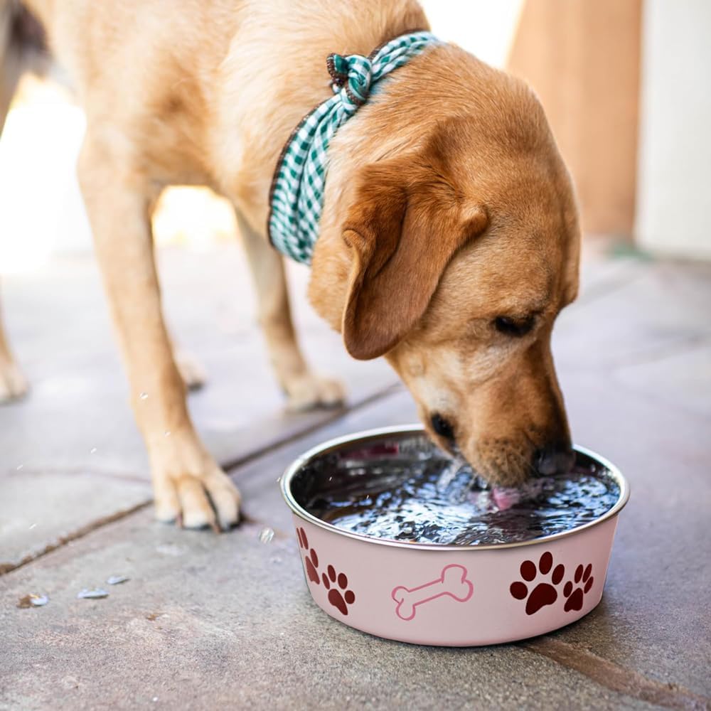 Loving Pets Bella Dog Bowls- Stainless Steel Dog & Cat Bowls - Spill Proof Dog Food Bowl, Cat Bowl, Puppy Essentials & Pet Supplies Great for Home & Travel (Medium 20-25 lbs, Paparazzi Pink)