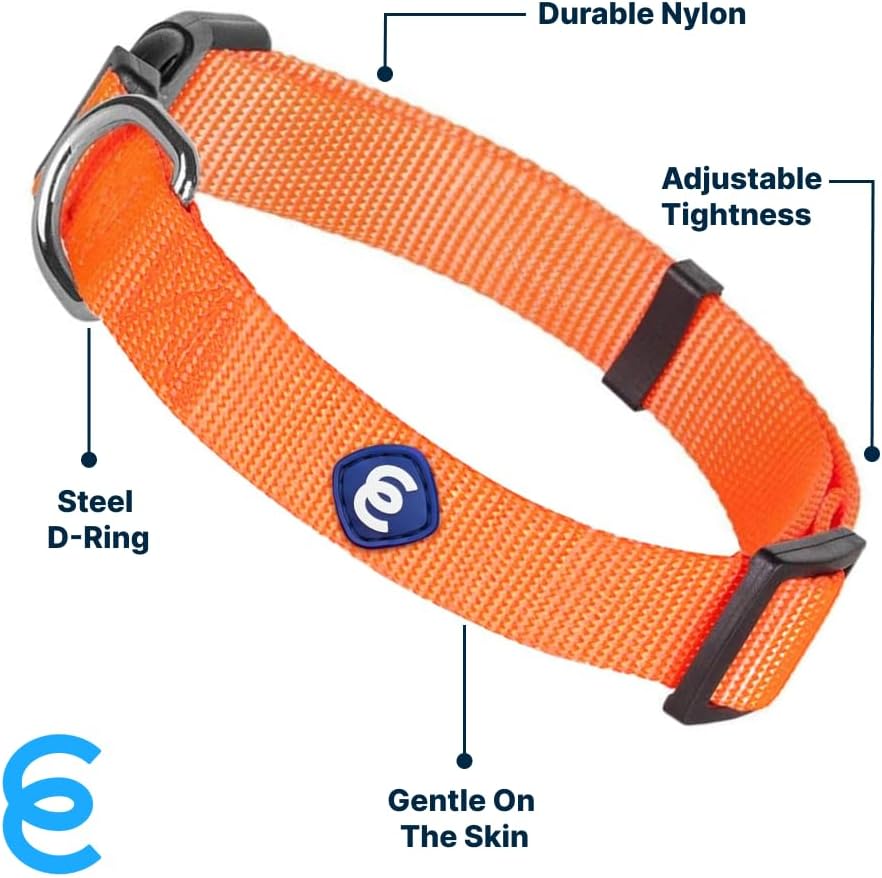 Blueberry Pet X-Small Dog Collar | Girl Dog Collars | Female Dog Collar XS | Quick Release Dog Collar | Florence Orange Nylon Dog Collar for Girl, Collar for Small Dogs