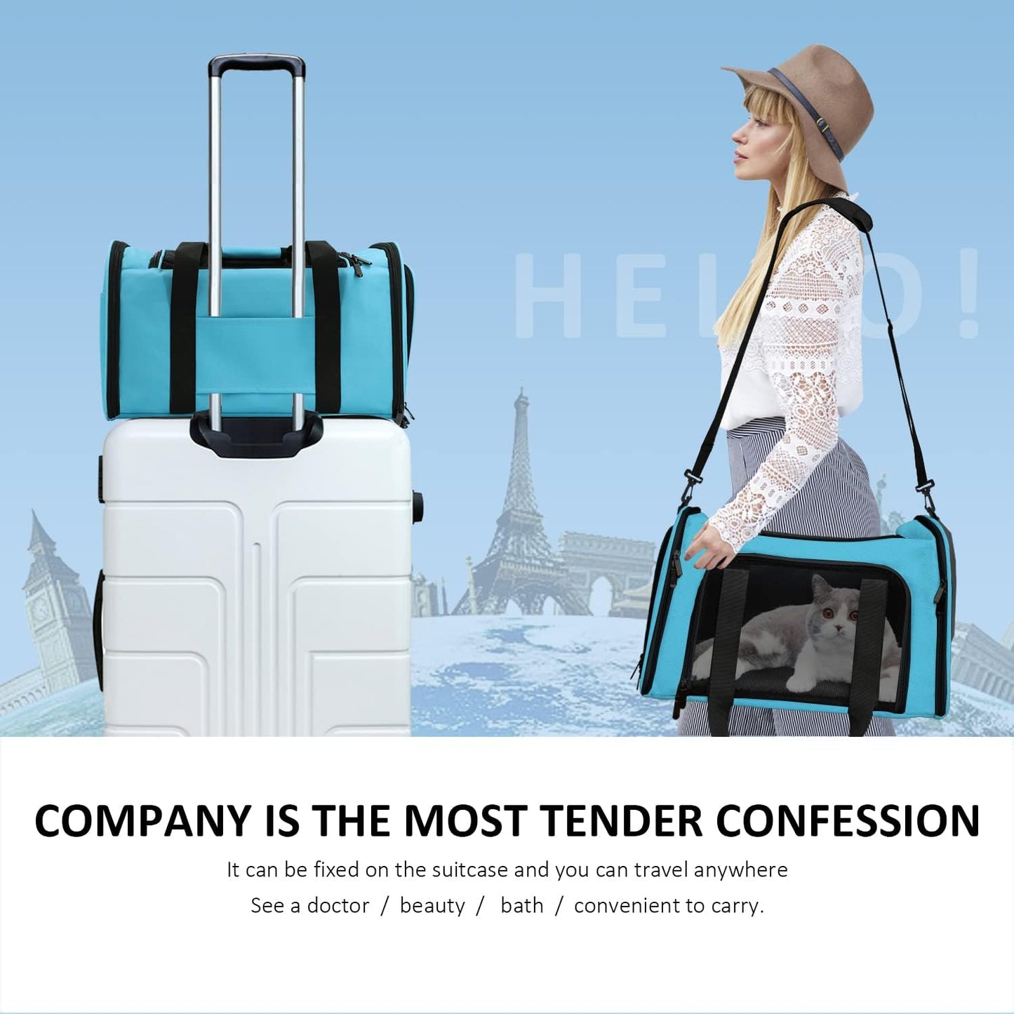 Pet Carrier for Small Medium Cats Puppies up to 15 Lbs, Airline Approved Small Dog Travel Puppy Carrier Soft Sided, Collapsible - Blue