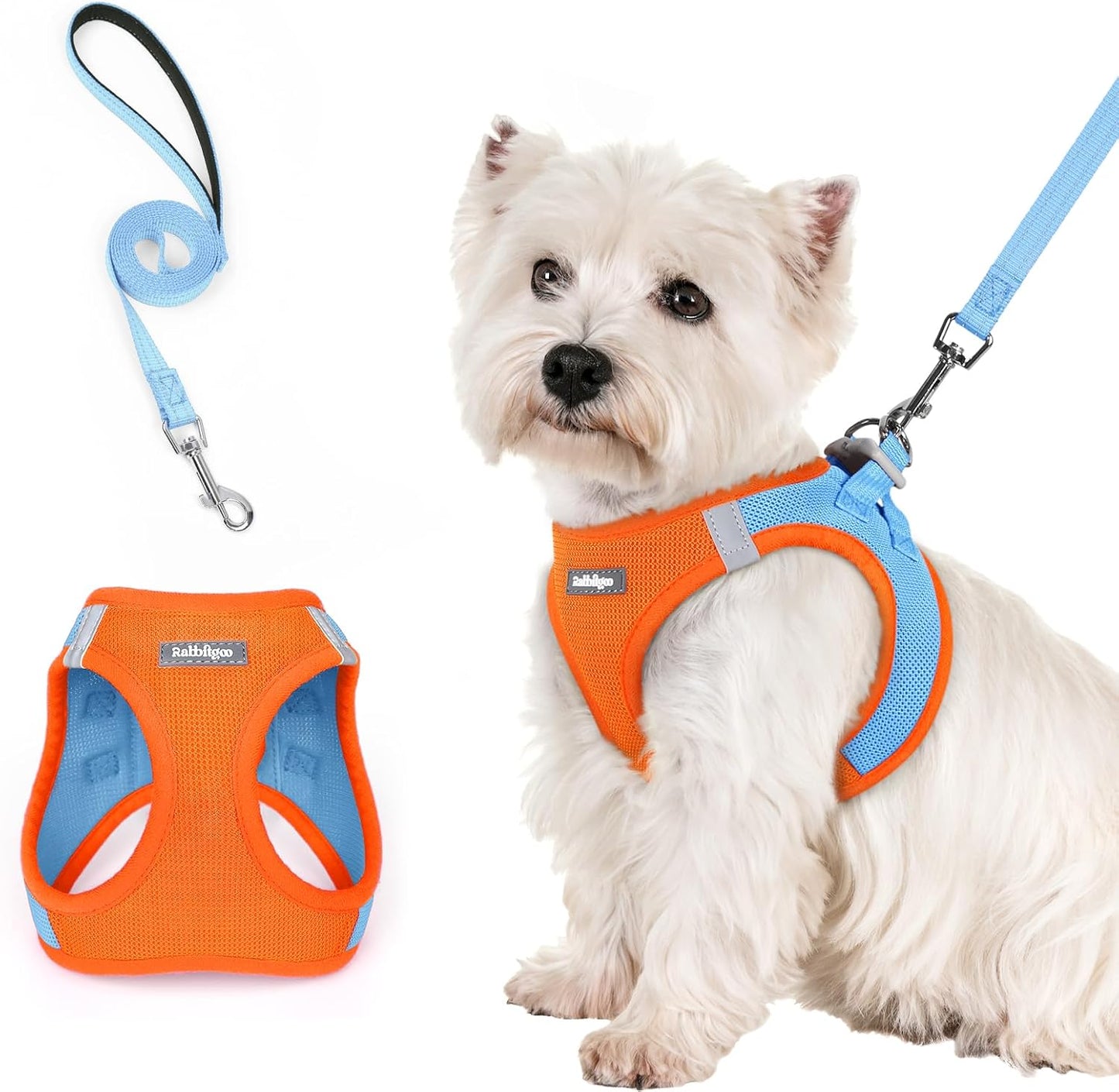 rabbitgoo Dog Harness Small Sized and Leash Set, Step in Soft Light Puppy Vest, Breathable Mesh Pet Harness, Reflective for Safe Easy Walking, Blue & Orange S