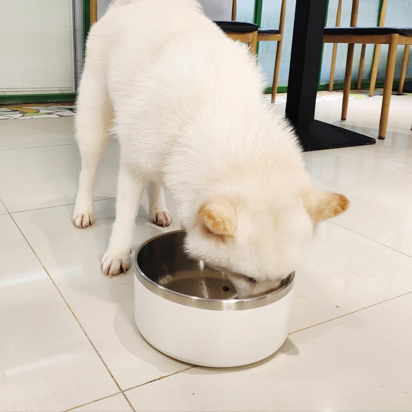 Stainless Steel Dog Bowl, Metal Water and Food Dish for Large Dogs, Insulated Non-Slip Pet Bowl, Easy Clean, 64oz, White