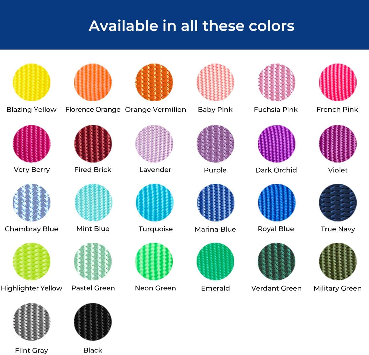 Blueberry Pet Essentials Small Dog Collar in Black | Adjustable & Eco-Friendly Durable Nylon Strap | Classic Collar for Small Dogs, Boy & Girl Pets