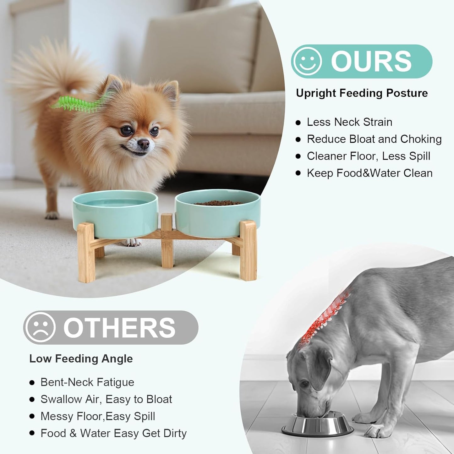 SPUNKYJUNKY Elevated Dog Bowls Ceramic, 5.1'' Dogs and Cat Food Water Bowls Raised with Non-Slip Bamboo Stand for Puppy Small Sized Breed Microwave Dishwasher Safe - 13.5 OZ,Light Green