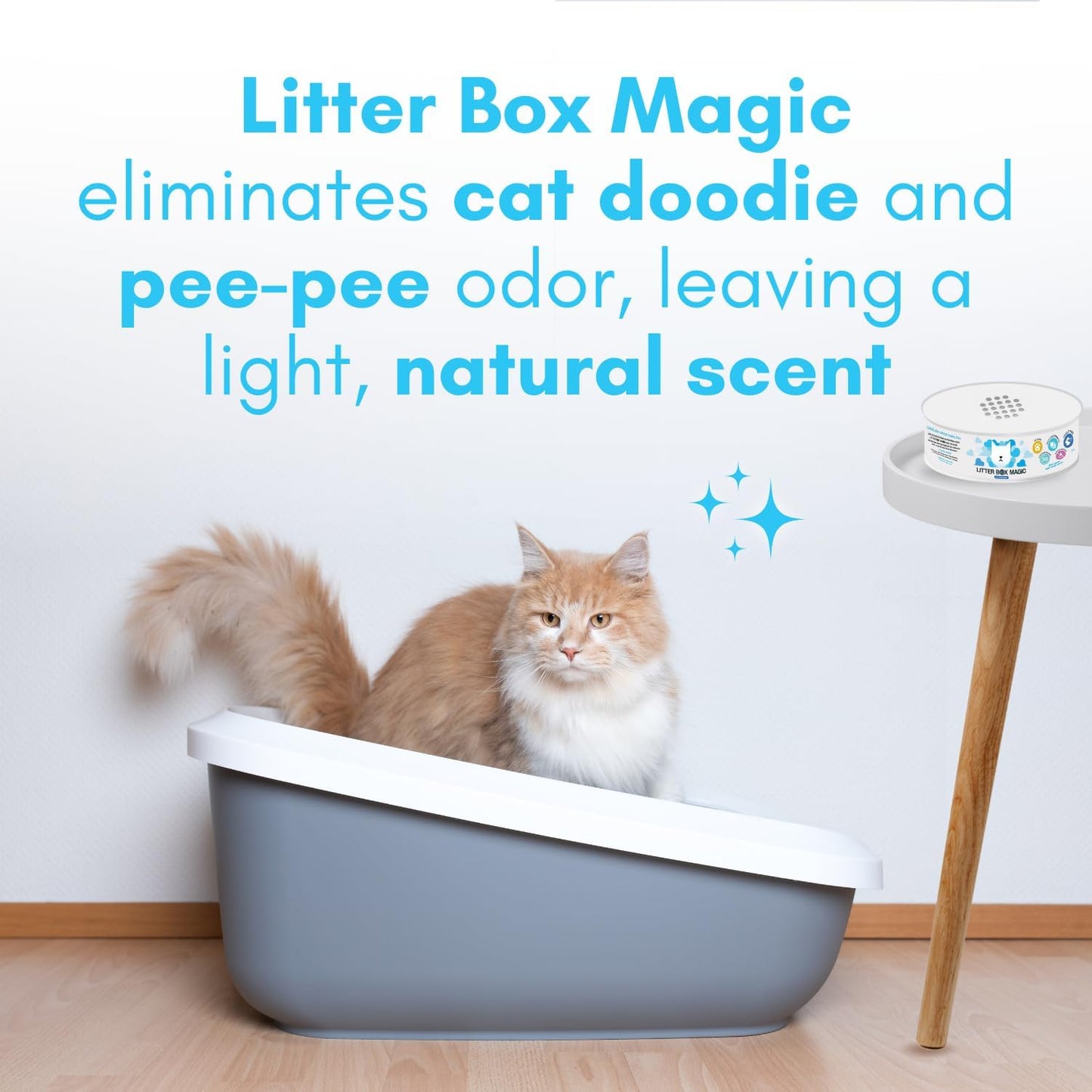 Cat Litter Deodorizer Jar (1 Fresh Scent and 1 Fragrance Free, 16 Oz, Pack of 2) - Cat Litter Odor Absorber Gel - Litter Box Pet Air Freshener - Litter Odor Eliminator to Freshen Air
