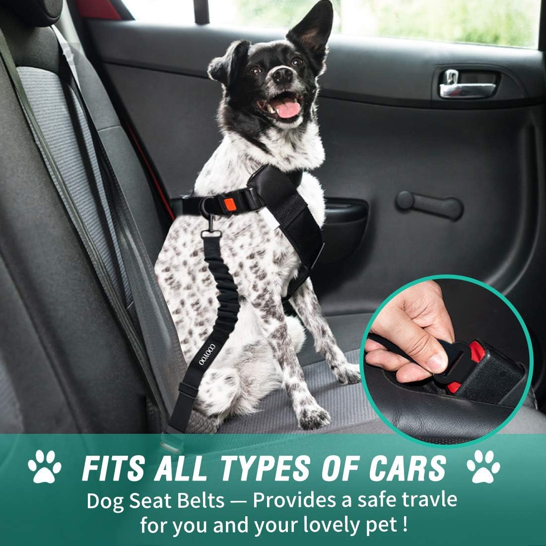 COOYOO Dog Seat Belt, Durability Retractable Dog Car Harness Adjustable Dog Seat Belt for Vehicle Nylon Pet Safety Seat Belts Heavy Duty & Elastic (1 Pack Black)