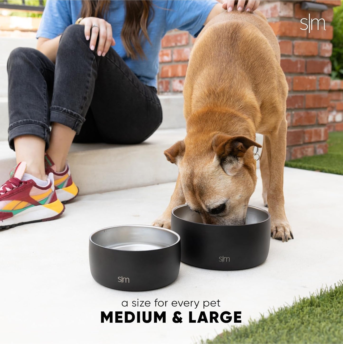 Simple Modern Stainless Steel Pet Water Bowl for Dogs & Cats | Reusable Insulated Stainless Steel Food Bowls for Dog Cat | No Tip No Slip BPA Free | Bentley Collection | Medium (32oz) | Almond Birch