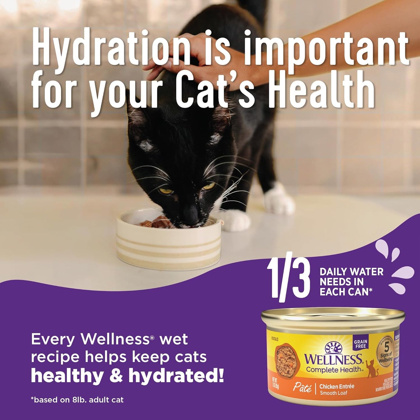 Wellness Complete Health Minced Adult Wet Cat Food, Natural, Protein-Rich, Grain Free, 5.5 Ounce, 24 Pack, (Turkey Entrée)