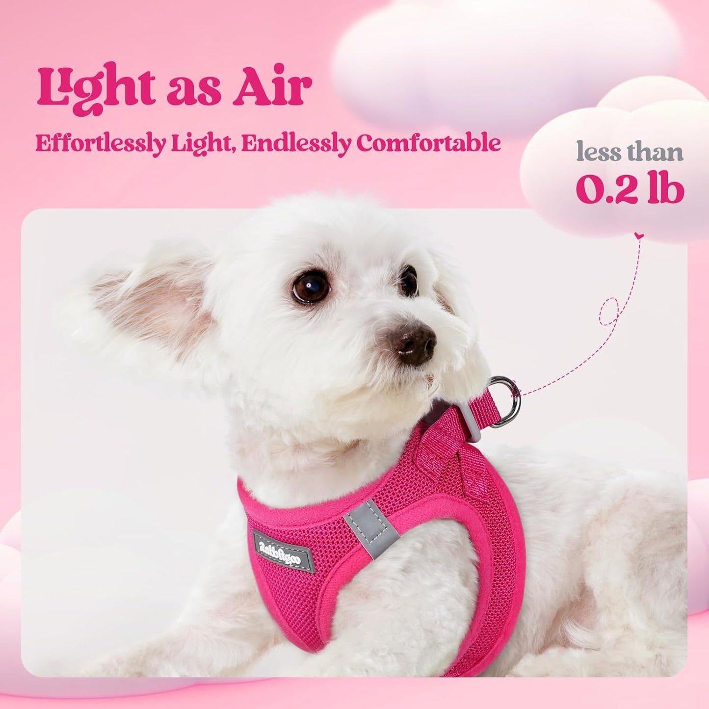 rabbitgoo Dog Harness Medium Sized and Leash Set, Step in Soft Light Puppy Vest, Breathable Mesh Pet Harness, Reflective for Safe Easy Walking, Rosa Red XXL
