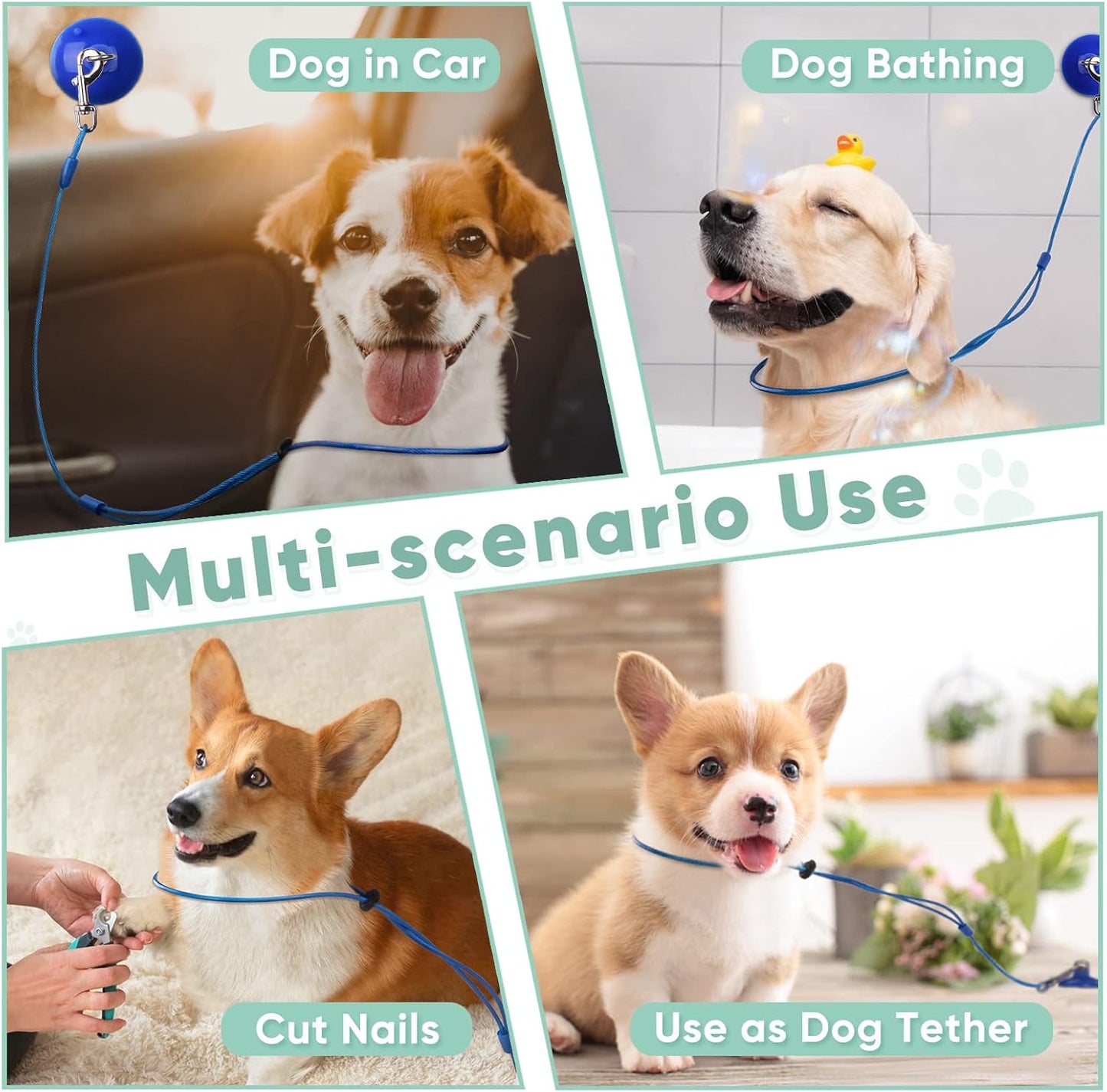 Petbobi Dog Bathing Tether with Heavy Suction Cup, Pet Grooming Tub Restraint Leash with Dog Scrubber for Bath, Adjustable Cat Fixed Safety Rope for Shower, Blowing, Trimming, Brushing Pet