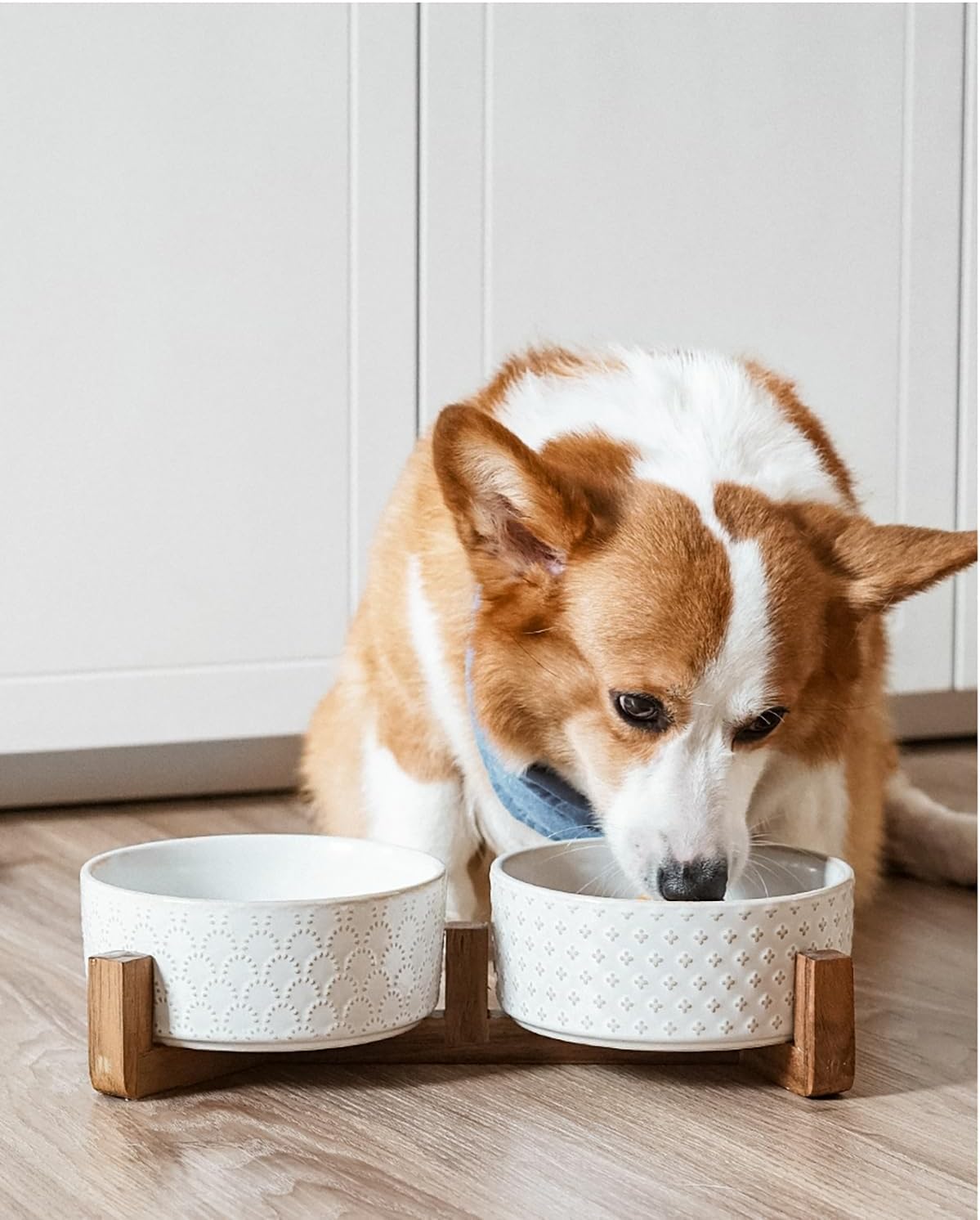 LE TAUCI Ceramic Dog Bowls with Acacia Wood Stand - 7 Inch Food & Water Set for Medium-Large Dogs - Weighted Pet Bowls
