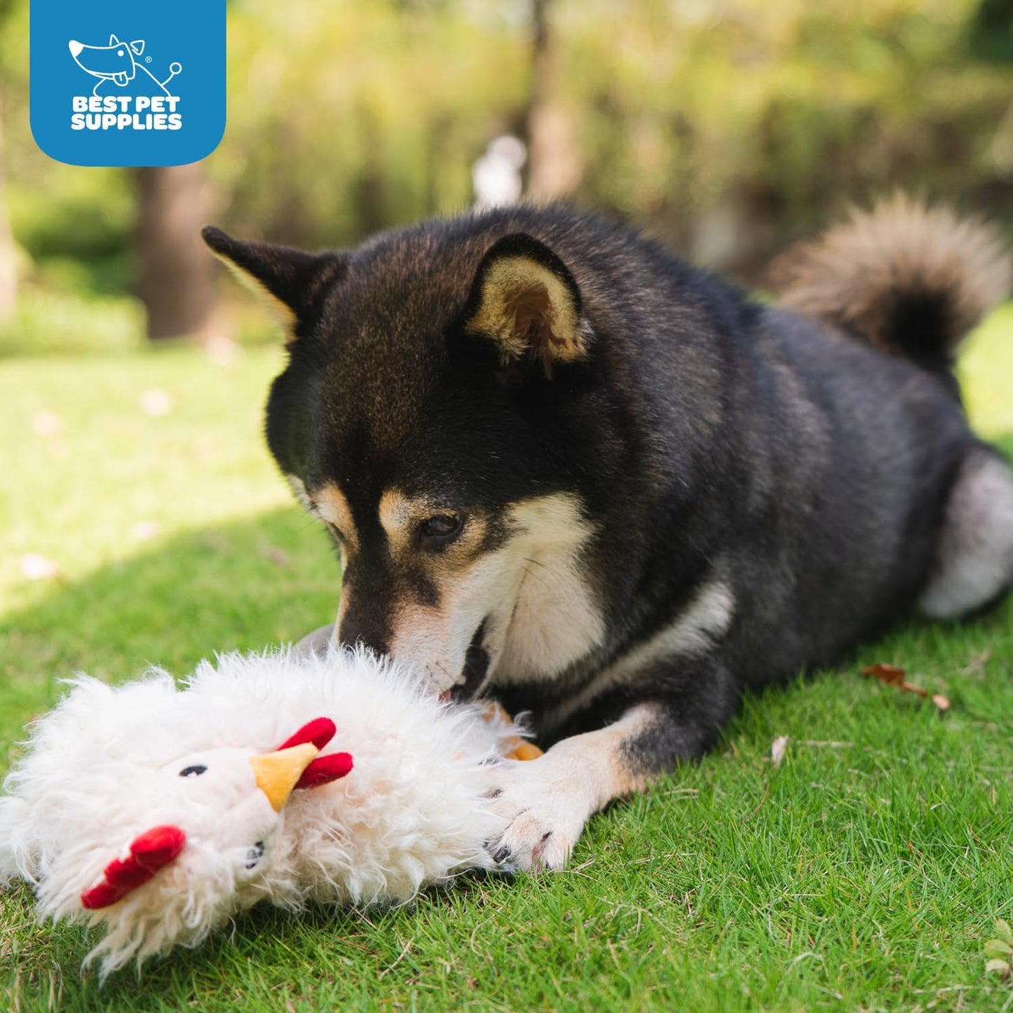 Best Pet Supplies Interactive Squeaky Dog Chew Toy, Ideal Dog Toys for Chewers, Small, Medium & Large Dogs, and Fetch Lovers - Crinkle Chicken (Beige), Large