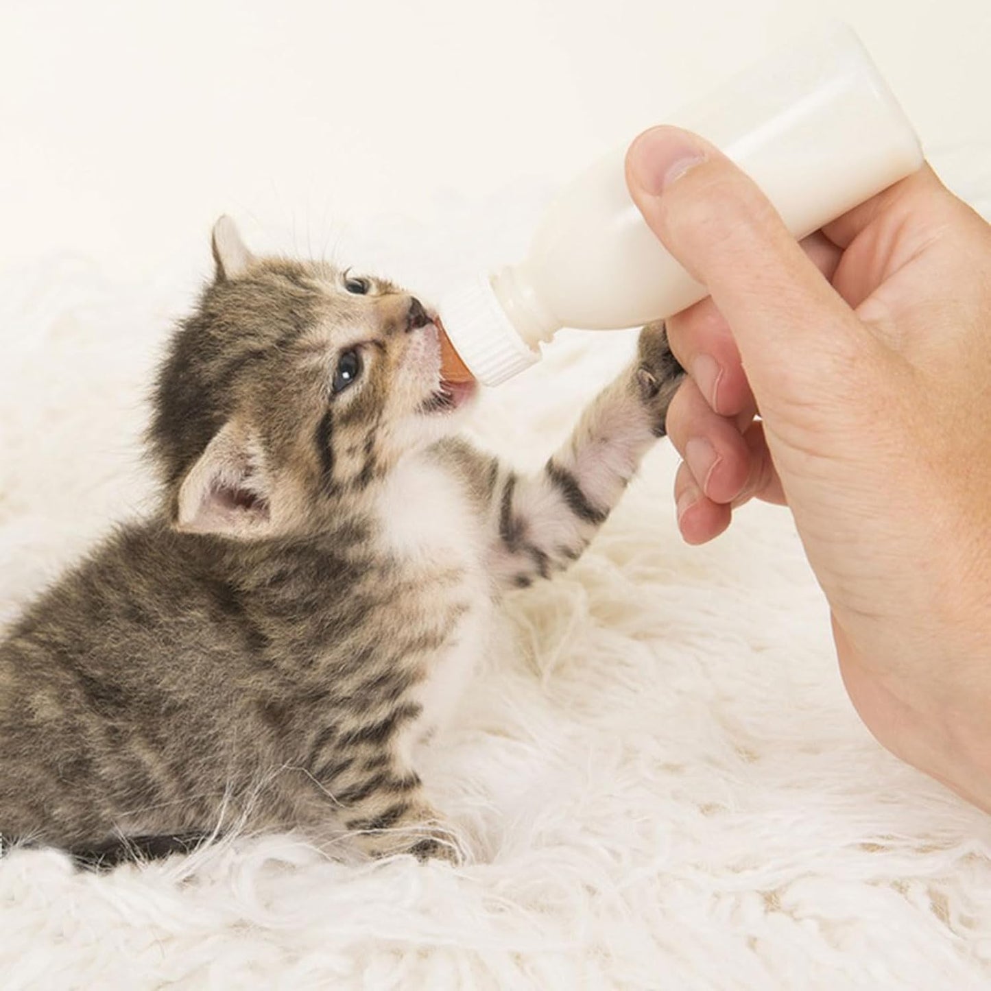 Suxgumoe Pet Feeding Bottle Set, Feeding Silicone Nipple with Bottle and Syringes, Reusable Pet Nursing Kits Feeding Tools for Rabbits, Small Animals (1 Bottle+3 Nipples+2 Syringes + 1 Measuring Cup)