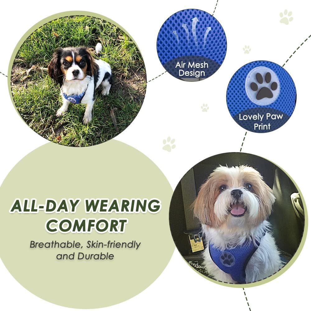 SlowTon Dog Seat Belt Harness for Car, Dog Car Harness Adjustable Mesh Breathable & Dog Seatbelt Safety Tether with Elastic Bungee for Small Medium Large Pets(Blue, Double Clip, S)